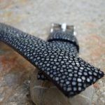 Latest Polished Stingray for Jorge