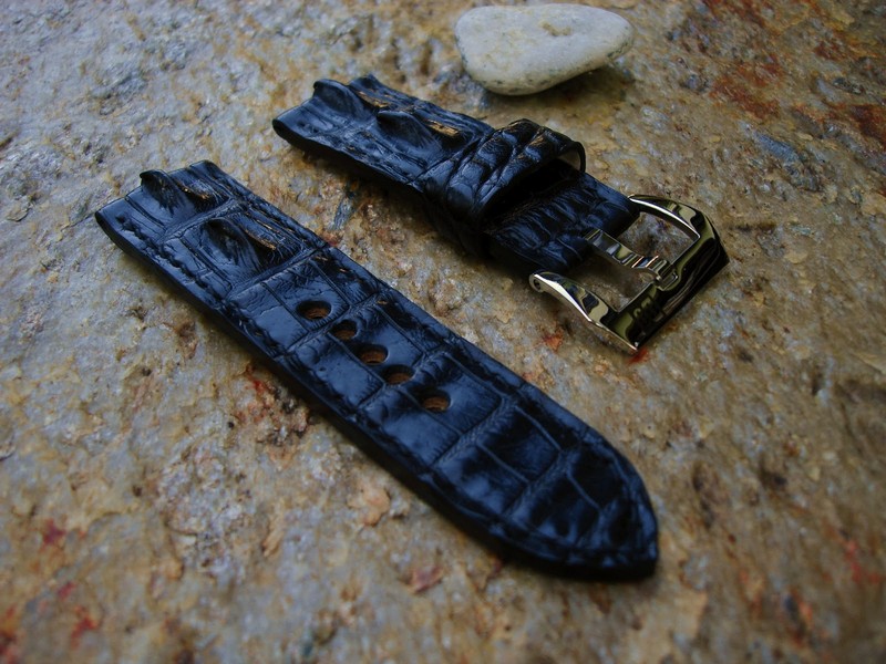 Hornback Strap for Robert's Panerai