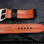 Black Shark skin for Omega Planet Ocean