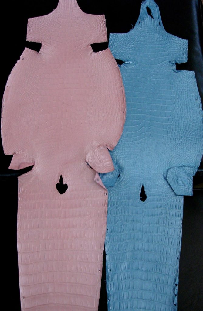 Baby-Pink-and-Baby-Blue-Pearlescent-Alligator-Skins