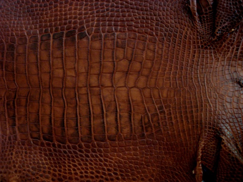 Newly Arrived - Huge Shipment of France Croco Alligator Hides