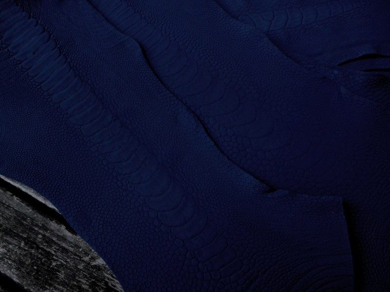 Deep Atlantic Blue SuperMatte Ostrich Leg