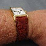 Straps made from Bullfrog and Cane Toad