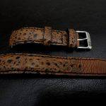 Straps made from Bullfrog and Cane Toad