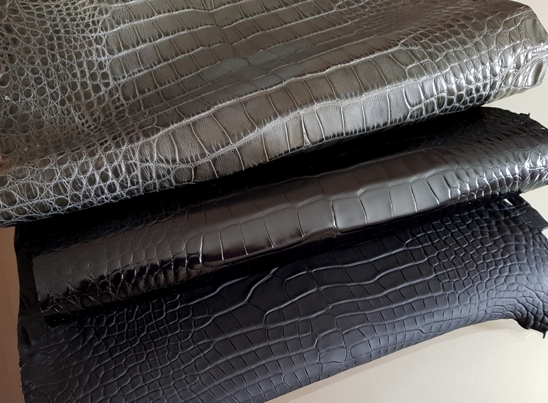 Newly Arrived Alligator Hides from France Croco!