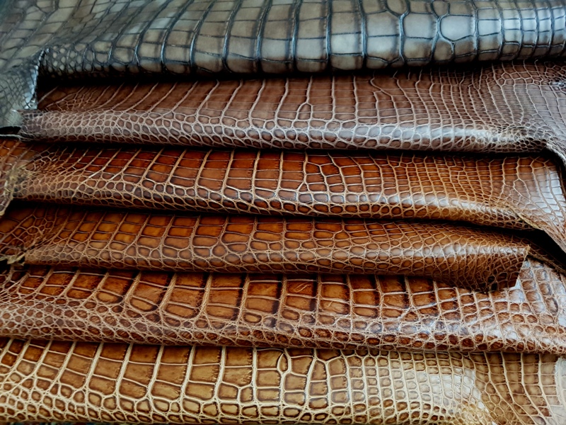 Delivery of New Alligator Hides!