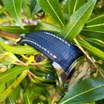 Steffen's Teju Lizard Strap for Snowflake