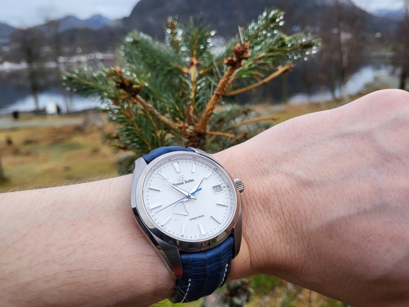 Steffen's Teju Lizard Strap for Snowflake