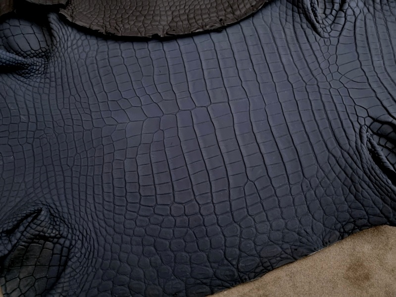 Newly Arrived Navy SuperMatte Alligator
