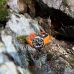 Customer Martijn's Two-Tone Rolex Seadweller