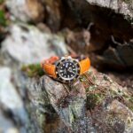 Customer Martijn's Two-Tone Rolex Seadweller