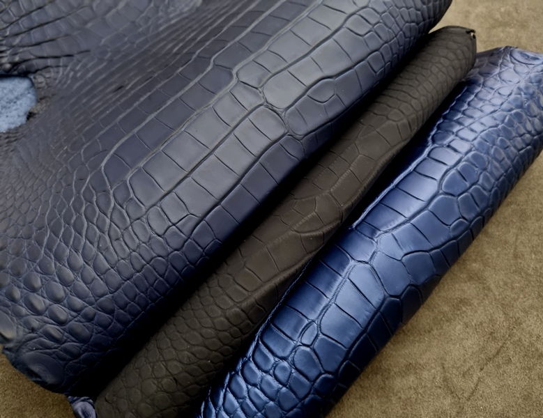 New Alligator Offerings!