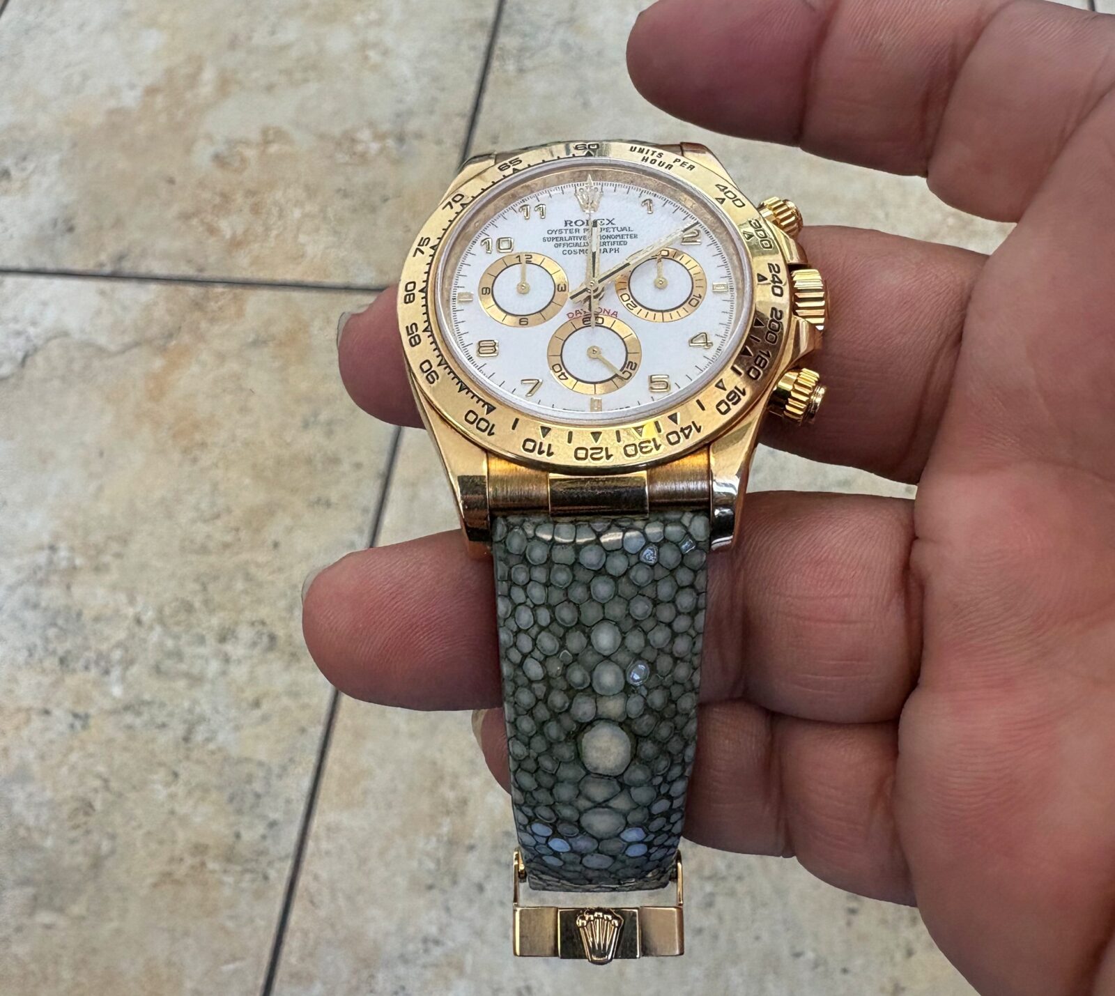 Albino's Gold Daytona on Petroleum Stingray with Central Pearls