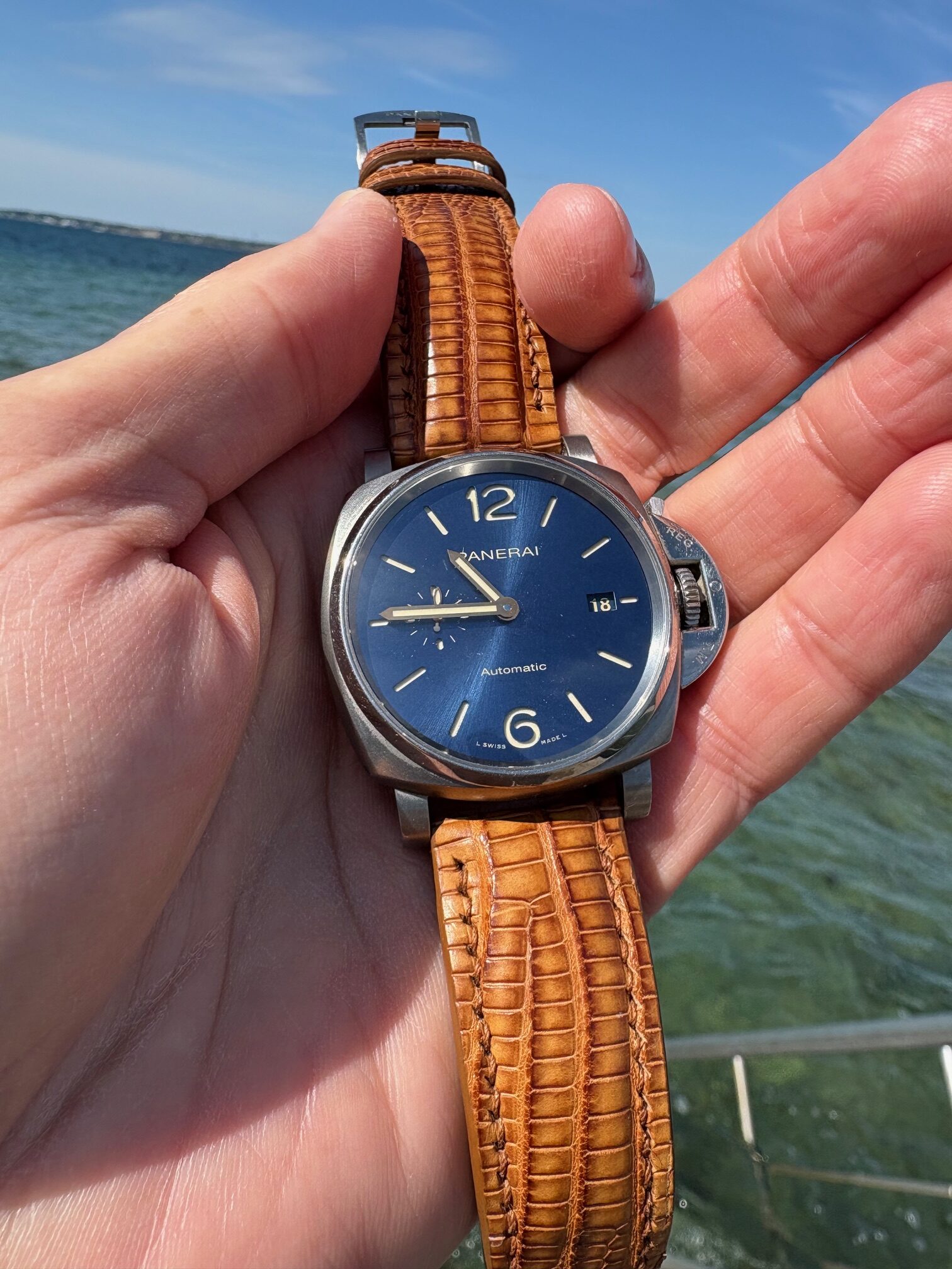Panerai Luminor Due on Vintage Dakar Teju Lizard Strap